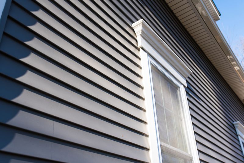 Vinyl Siding on Homes